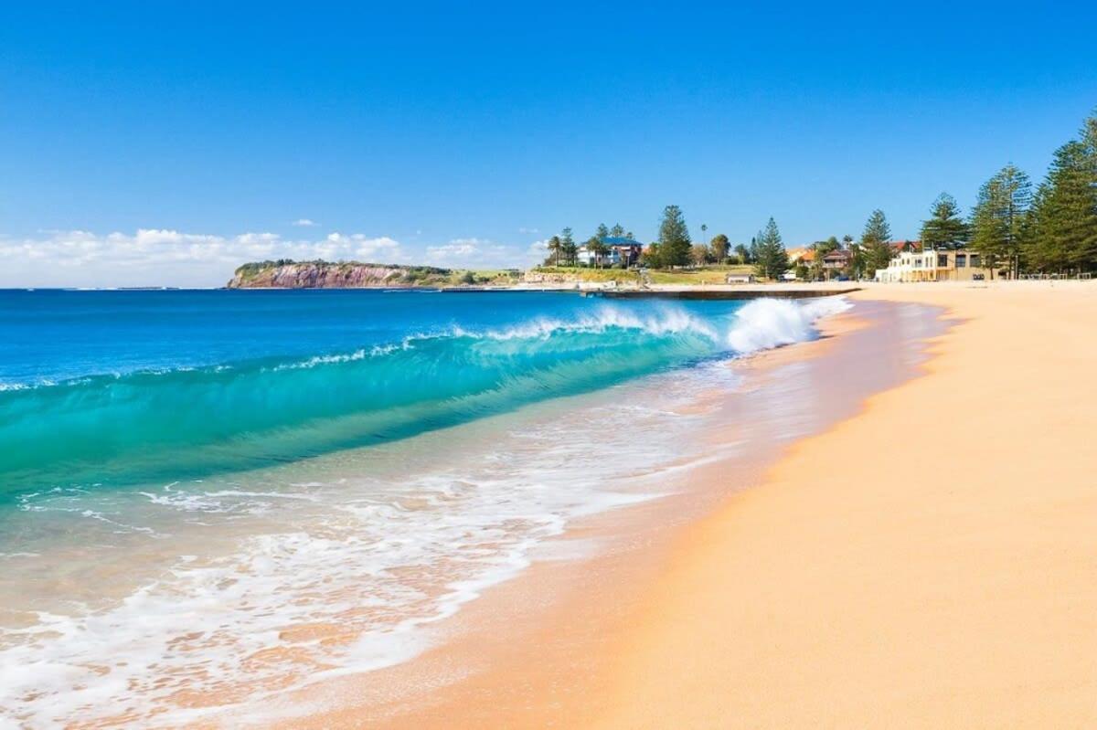 Ocean Views 2-bed Minutes From Apartment Collaroy